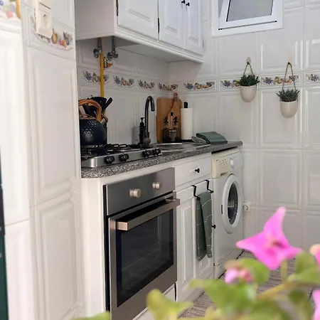 Nzr3 Ocean Lägenhet Nazaré